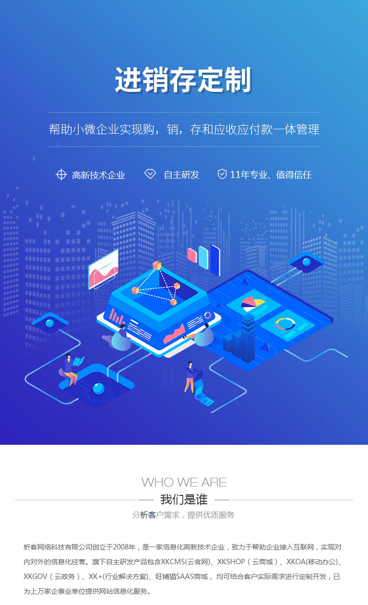 进销存系统开发:助力企业高效管理